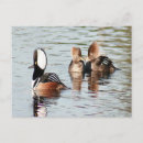 Recherche de capot cartes postales Femme