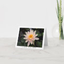 Recherche de lotus photographie Water