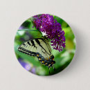 Recherche de papillon badges Insectes