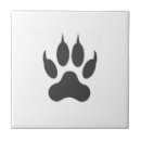 Recherche de tigre blanc carreaux Sauvage