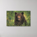 Recherche de bruns impressions sur toile Parc national
