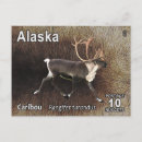 Recherche de rennes cartes postales Faune