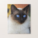 Recherche de siamois puzzles Siamese