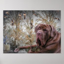 Recherche de lapins posters Chien