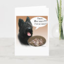 Recherche de briard vœux cartes Brique