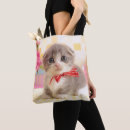 Recherche de comportement accessoires Chaton