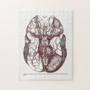 Recherche de anatomie vintage puzzles Illustration