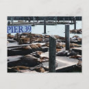 Recherche de otaries cartes postales Quai 39