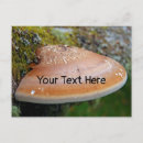Recherche de supports cartes postales Arbre