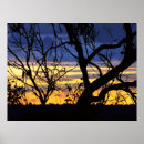 Recherche de arbres nature art Paysages