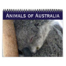 Recherche de koala calendriers Animaux