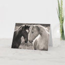 Recherche de amour de cheval Photographie