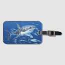 Recherche de requin bagages étiquettes Grand requin blanc