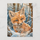 Recherche de petit renard cartes postales Nature