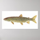 Recherche de trout posters Glace