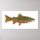 Recherche de fly fishing posters Trout