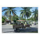 Recherche de ceiba La ceiba