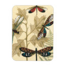 Recherche de libellule magnets Feuille