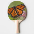Recherche de mâle raquettes ping pong Superstock