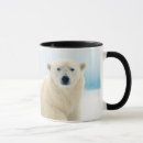 Recherche de verrat tasses Faune