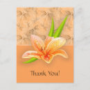 Recherche de lilium cartes postales Élégant