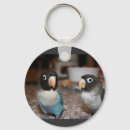Recherche de ornithologie porteclés Mignon