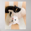 Recherche de foyer sur le premier plan posters Regarder l'appareil photo