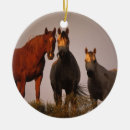 Recherche de cheval arabe ornements Plomb langrish