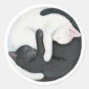 Recherche de chat de yang de yin Noir et blanc