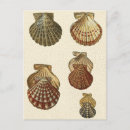 Recherche de conique cartes postales Littoral