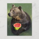 Recherche de melon cartes postales Ours