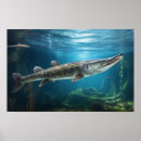 Recherche de poissons posters Sous la mer