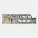 Recherche de spadefoot Amphibie
