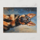 Recherche de chiot de berger allemand cartes postales Gsd