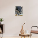 Recherche de corbeau photographie Photographie de la nature
