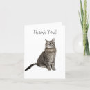 Recherche de chat gris vœux cartes Tabby