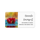 Recherche de lotus photographie Floral