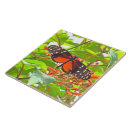 Recherche de butterfly carreaux Nature