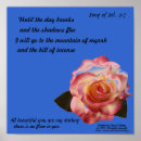 Recherche de velours posters Rose