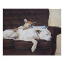Recherche de chiots mignons posters Toute personne