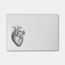 Recherche de anatomie post its Médical