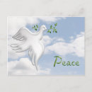 Recherche de peace cartes postales Branche d'olivier