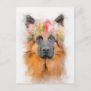 Recherche de de berger allemand cartes postales Chiot