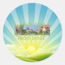 Recherche de doge autocollants Américain