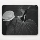 Recherche de croissance tapis souris Jardin
