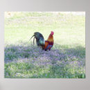 Recherche de fait varier le pas posters Oiseau