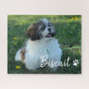 Recherche de chien puzzles Toute personne
