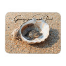 Recherche de coquille de tortue magnets Pour tous