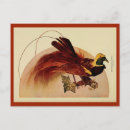 Recherche de oiseau rouge cartes postales Antique