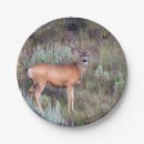 Recherche de mule photographie Animaux